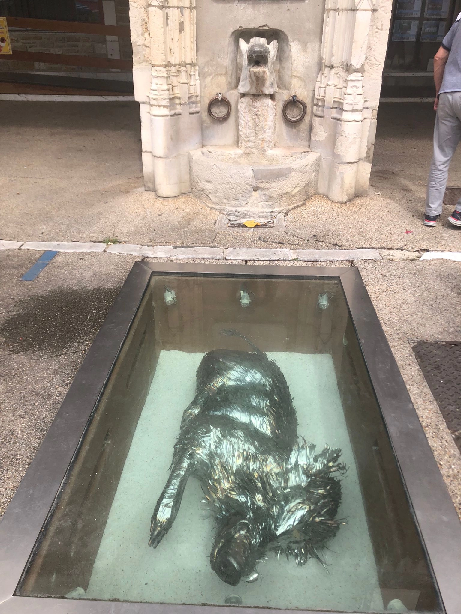 Le sanglier symbole de l'histoire de Salies