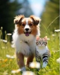 Image d'illustration