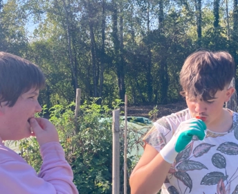 Les 3èmes Prépa-métiers à la découverte du sol vivant 12