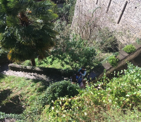 Visite de la cité médiévale 03