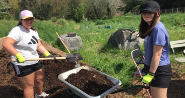 Jardins partagés 03