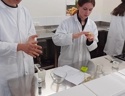 Stage collectif sur le thème de la santé: Atelier fabrication de shampooing solide 5