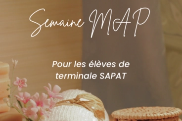 Image d'illustration