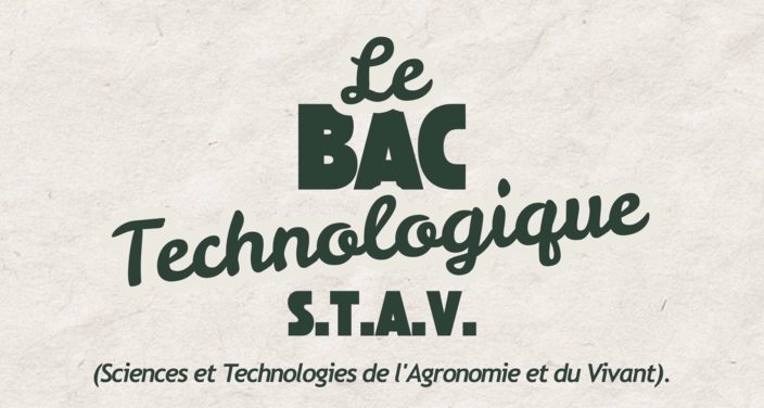 Le bac technologique STAV Services permet grâce à ses petits effectifs