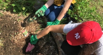 Jardins partagés 07